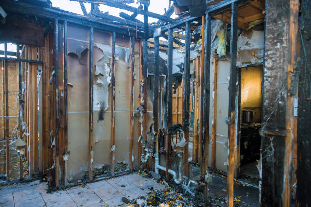 Professional Odor Removal technician working in Plains, KS